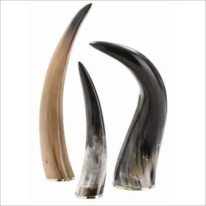 Buffalo Horn Natural Color and Shape High Quality Eco-Friendly Modern Indoor Living Room Decorative Horns Cross Style - Product Image 4