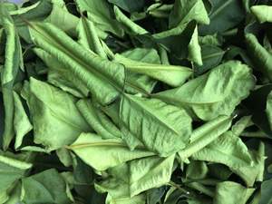 Hoja de Limón Seca del Delta de Vietnam |   Se Aceptan Pedidos Grandes - Product Image 6