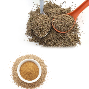 Carambole en vrac | Ajwain fiable pour les usines alimentaires - Product Image 2