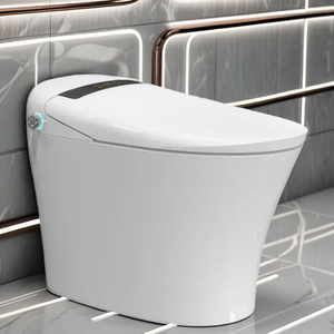 ABD Tarzı Akıllı Tuvalet Tek Parça Otomatik Yıkama Sistemli Isıtmalı Klozet Seramik Banyo Tankı Olmayan Bide Akıllı Tuvalet - Product Image 1