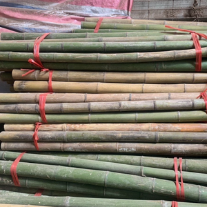 Estacas de Bambú Resistentes para Soporte de Jardín |   Ecológico, Ligero y Fácil de Procesar - Product Image 6