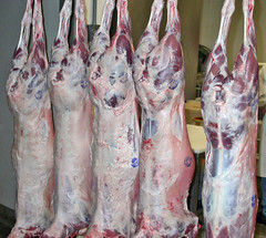 Fournisseur en gros de côtelettes d'épaule désossées pour viande de mouton halal de qualité pour exportation Fournisseur en gros pour distributeurs détaillants - Product Image 6