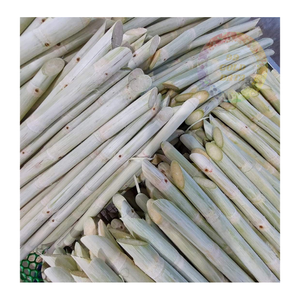 Tallos de caña de azúcar congelados al por mayor-Granja-Frescos, convenientemente empaquetados para restaurantes, cafeterías y distribuidores - Product Image 1