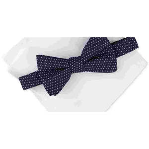 Set Papillon Pre-Annodato e Fazzoletto da Taschino da Uomo Alfani Blu Navy con Stampa Paisley a Pois in Raso e Poliestere, Taglia Regolare - Product Image 3