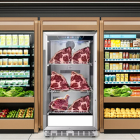 Armoire à viande sèche Armoire à viande Steak Boeuf à sec Armoire à réfrigérateur pour le stockage du boeuf Compresseur de la viande Steak Réfrigérateur fait maison