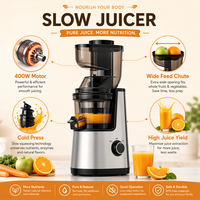 400W Slow Juicer met hoge sapopbrengst, koude pers extractie, metalen zilveren uitvoering, brede invoeropening voor thuiskeuken