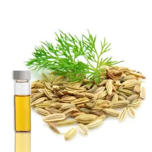 Anethum Sowa (aneto indiano) olio di semi di aneto biologico olio profumato di aneto 100 Ml Online al prezzo più basso dall'india