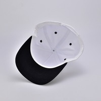 Gorras Snapback de Dos Tonos al por Mayor para Hombre y Mujer, Gorra de Béisbol Trucker Moderna y a la Moda, con Logotipo Personalizado Impreso, Cómoda, Duradera y Casual