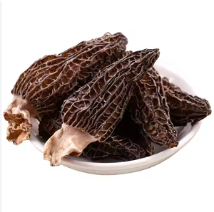 Livraison rapide 100% naturel de haute qualité sauvage séché Morel champignon meilleur prix pas cher prix de gros - Product Image 2
