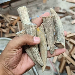 Pièces brutes naturelles de corne de buffle sculptée écologique pour la fabrication artisanale de manches de couteaux, de bijoux et la décoration intérieure - Product Image 1