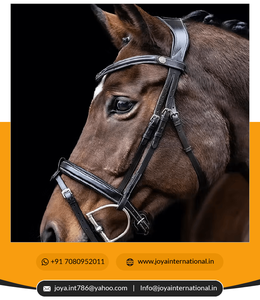 Brida de Cuero de la Mejor Calidad para Caballo, Brida Occidental sin Bocado, Brida Inglesa en Venta, Ephemeral - Product Image 3