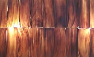 Plaques en corne de buffle naturelles brun moyen, ajustables, artisanales, rustiques et modernes, décoration d'intérieur et cadeaux d'affaires - Product Image 1