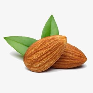 Amandes biologiques de qualité supérieure en vrac, vente en gros, amandes crues séchées avec saveur naturelle pour la consommation alimentaire - Product Image 2