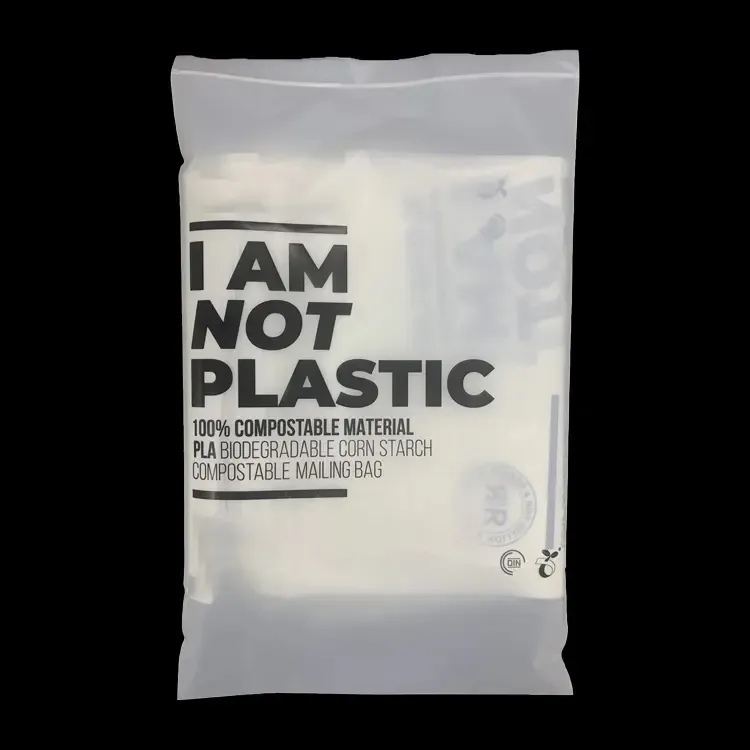 Custom Logo Matte Biologisch Afbreekbare Plastic Verpakking Rits Tassen, T-Shirt Badmode Bh Kleding Verpakking Ritssluiting Tassen Met Logo