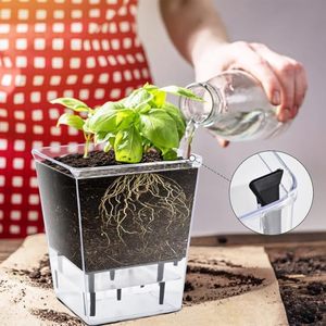 <span class=keywords><strong>Macetas</strong></span> <span class=keywords><strong>de</strong></span> Acrílico Transparente <span class=keywords><strong>de</strong></span> <span class=keywords><strong>Diseño</strong></span> Clásico con Orificios <span class=keywords><strong>para</strong></span> Plantar, Maceta Transparente <span class=keywords><strong>para</strong></span> <span class=keywords><strong>Plantas</strong></span> - Product Image 2