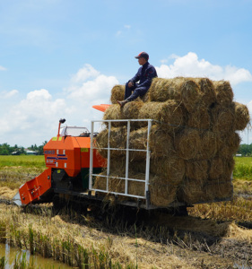 <b>Baler</b> Machine Vietnam for Sell in 2025 - Product Image 4