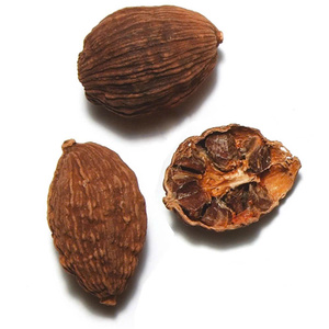 Grande quantité de cardamome séchée de haute qualité du Vietnam produit agricole - Product Image 1