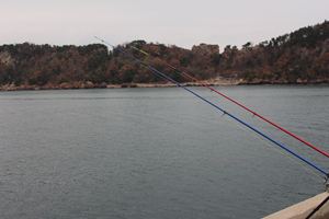 NH <span class=keywords><strong>Surfcasting</strong></span> LED Punta interior Caña de pescar telescópica Glowstick <span class=keywords><strong>Cañas</strong></span> de luz alimentadas por batería - Product Image 6