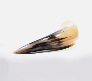 Authentic Handcrafted Natural Polished Buffalo Horn Blowing Horn With Distinctive <b>Black</b> And Honey Two Tone Coloration - Product Image 3