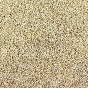 Graines de Quinoa Rouge de Qualité Supérieure en Gros à Prix Abordable – Offre Spéciale - Product Image 1