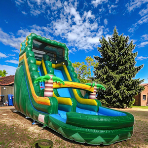 Tobogán Acuático Inflable Comercial de PVC Verde Mármol con Piscina y Brincolín Combinado para el Hogar - Product Image 1