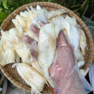 Barriga de Pangasius Seca de Alta Calidad, 8oz, Condimentada, Fabricante de Barriga de Pangasius Seca, ANGLE - Product Image 1