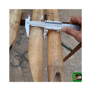 Piquets de canne en bambou de qualité supérieure d'exportation pour panneau de jardin de clôture écologique poteau en bambou naturel Durable solide étanche - Product Image 1