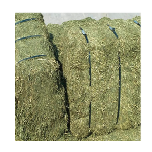 Bahías de heno de alfalfa de calidad/gránulos de alfalfa/cubos de alfalfa deshidratados heno Timothy - Product Image 4