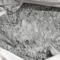 Ciment Portland Blanc Gris de Qualité Supérieure 42.5 Grade Premium Réfractaire Expansif pour Applications Décoratives Norme ASTM C150