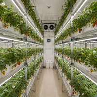 Système de culture hydroponique GROW-ANYWHERE, serre verticale, système d'agriculture aéroponique, équipement d'agriculture intelligente pour la culture des fraises