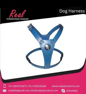 Harnais pour chien en cuir de haute qualité avec motif floral rembourré et rivet décoratif meilleur prix produit pour animaux de compagnie sans harnais pour chien - Product Image 2