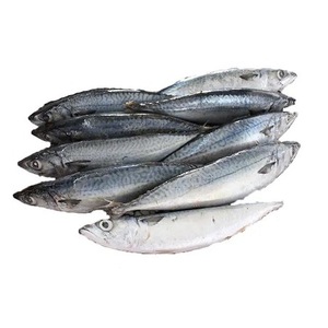 Organic Frozen Horse Mackerel <b>Fish</b> - Product Image 1