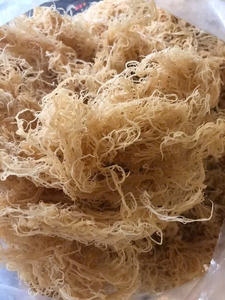 Mousse d'Irlande séchée gracilaria/algues gracilaria du Vietnam // Ms.Laura - Product Image 4