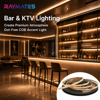 Bande lumineuse flexible Raymates CE ROHS Cob 480 leds 5 mm 24 V pour éclairage de cuisine/chambre/comptoir, garantie 3 ans
