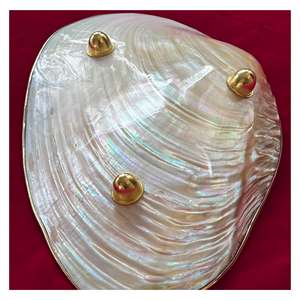 Plateau en nacre naturelle, plat en coquille de nacre naturelle pour desserts, fruits, service et mise en place élégante de la table, Vietnam - Product Image 2