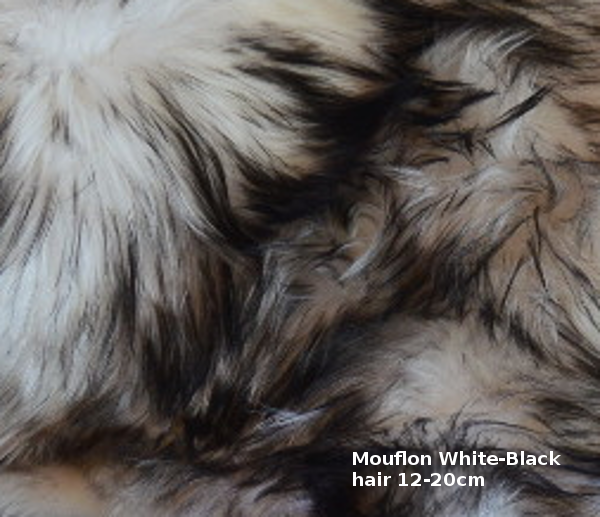 สีขาว/สีดำ