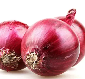 2024 new crop fresh red onions and yellow onion white price per ton in Canada from onion seeds exporter