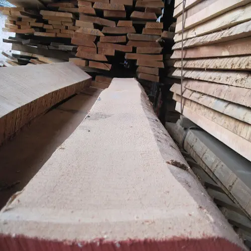 Beech Logs and Sawn Timber Lumber KD