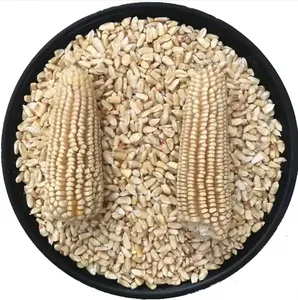 Maíz blanco de la mejor calidad, maíz blanco dulce estilo congelado a buen precio, venta al por mayor - Product Image 2
