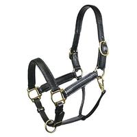Licol en cuir de cheval le plus vendu en gros avec plaque signalétique en laiton, couleur personnalisée, licous, logo d'excellente qualité