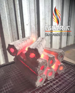 ถ่านบาบีคิว100% กะลามะพร้าวออร์แกนิกถ่าน100% เป็นมิตรกับสิ่งแวดล้อม - Product Image 4