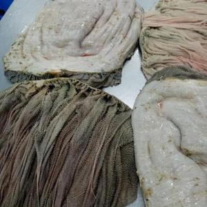 Top Grade <b>Frozen</b> Beef Omasum / Salted Dried Omasum / Fresh Halal Omasum for Export | Reliable Meat Omasum Suppliers - Product Image 1