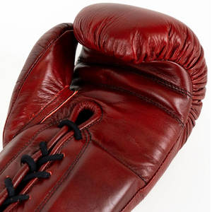 Gants de boxe conçus pour l'entraînement quotidien et le développement des compétences, avec une coque extérieure durable et un rembourrage pour le contrôle des impacts - Product Image 5