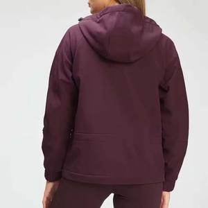 Sudaderas con capucha para mujer, superventas, personalizadas, Invierno 2025, precio barato, venta al por mayor, sudaderas con capucha para mujer, sudaderas con cremallera transpirable, 450g - Product Image 2