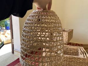 Lámpara de algas marinas, Producto Popular - Product Image 2