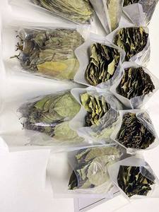 Hojas secas de Annona Muricata, un producto de protección de la salud, precio barato de VIETNAM - Product Image 5