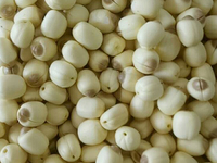 Graines de fleurs de lotus blanches séchées en vrac 100% pures avec une durée de conservation de 24 mois