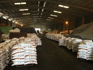 Chất lượng cao mới hợp nhất magiê Phosphate (fmp) NPK DAP bản đồ P2O5 SSP Phosphate phân bón bột dạng hạt Nhà Nước sản xuất Việt Nam - Product Image 6