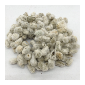 Prix de gros des graines de coton à vendre en vrac - Product Image 1