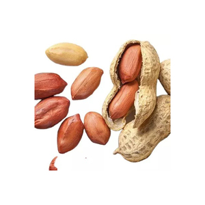 Wholesale Peanuts bulk supply premium quality cheap price bulk - Product Image 3